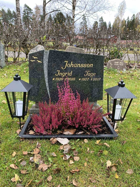 Grave number: 1 29     55