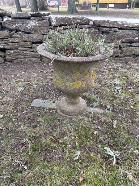 Gravnummer: LE   655