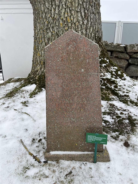 Gravnummer: EN C    80, 81