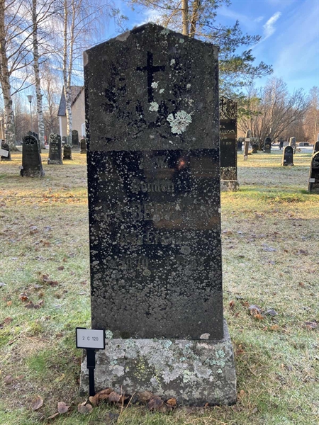 Hautatunnus: 2 C   120