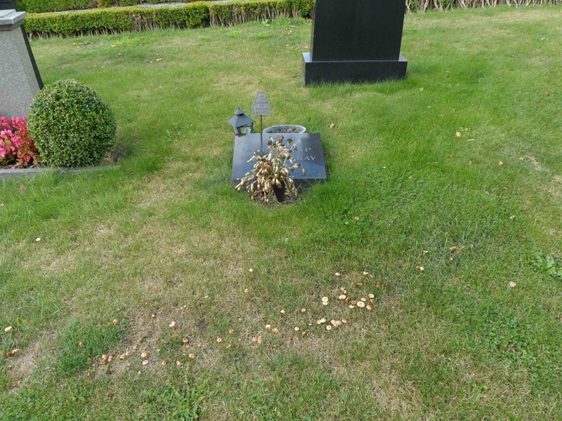 Grave number: HGK 5    14