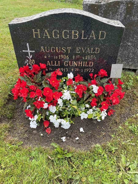 Gravnummer: N 4 3   419