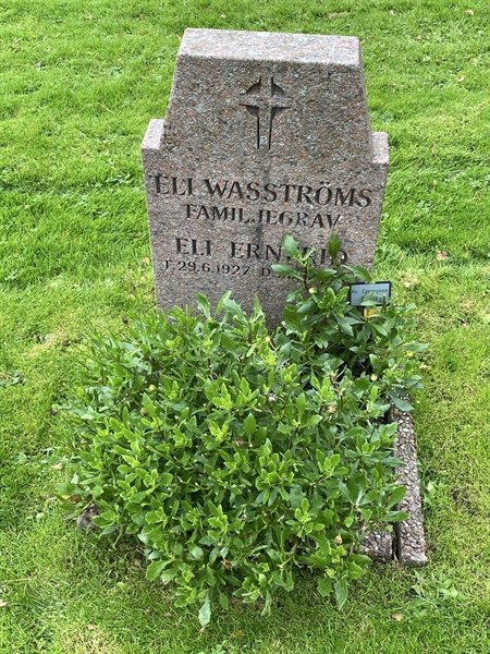 Hautatunnus: 2 C    23-24