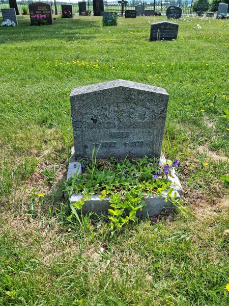 Grave number: D G 3   837