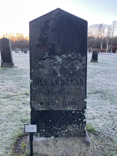 Hautatunnus: 2 C    81