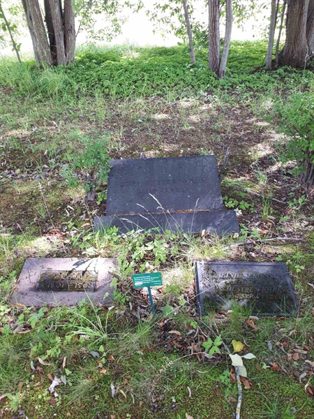 Gravnummer: GK F 5   475B