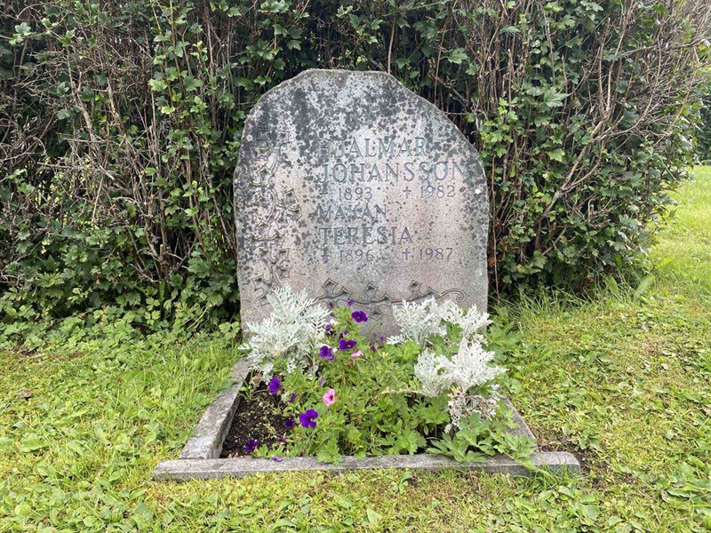 Grave number: 3 13 165