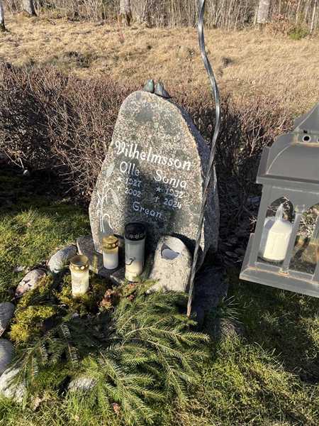 Hautatunnus: Ärt 96 38 1