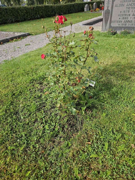 Hautatunnus: Fr 5   725-727