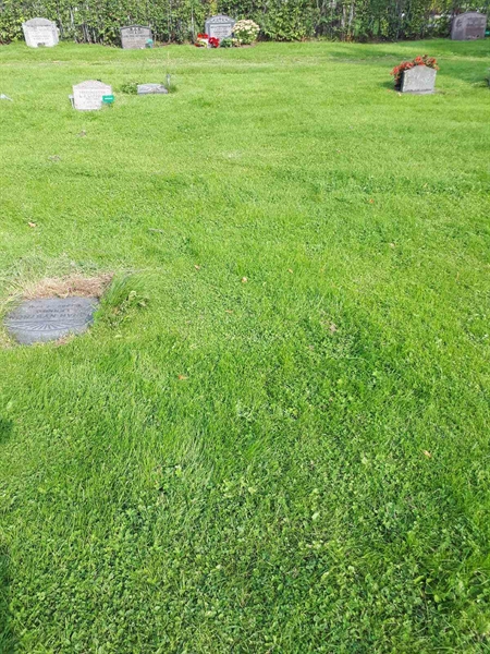 Hautatunnus: NK A A   346