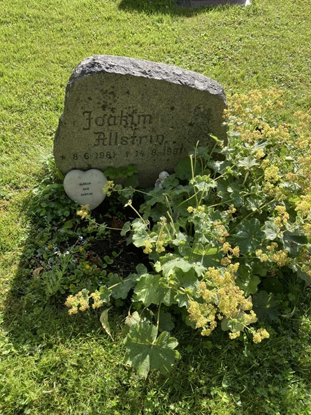 Grave number: 1 07     7
