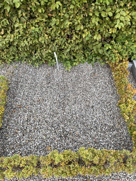 Grave number: NK Urn s     1