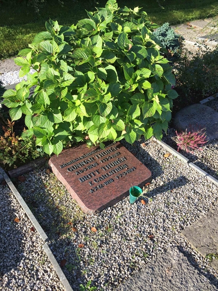 Grave number: BNB U   134