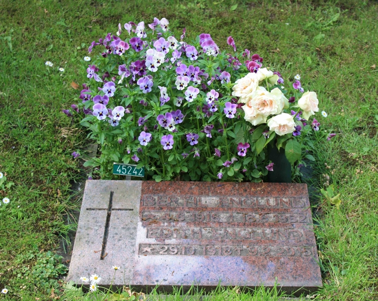 Grave number: Ö 45   242