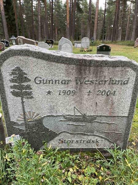 Grave number: 3 5    96