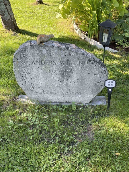 Grave number: 2 29    25-26