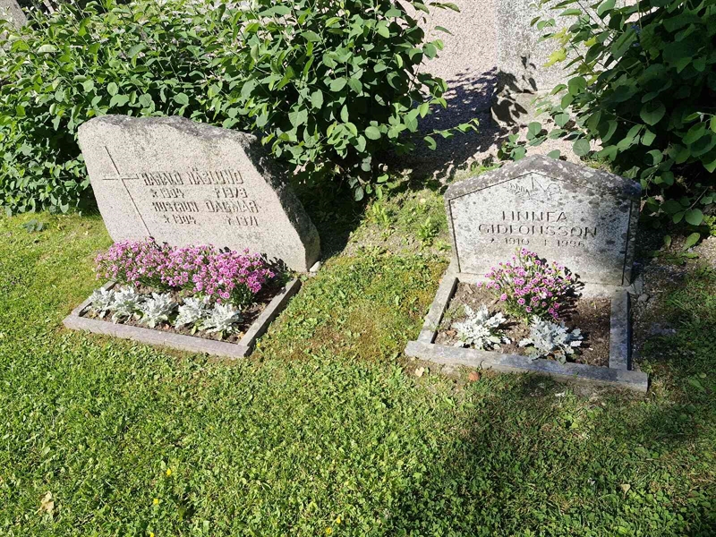 Hautatunnus: 1 SÖDRA 41