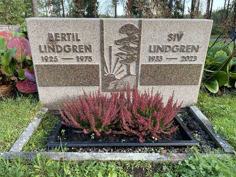 Grave number: 3 11 67