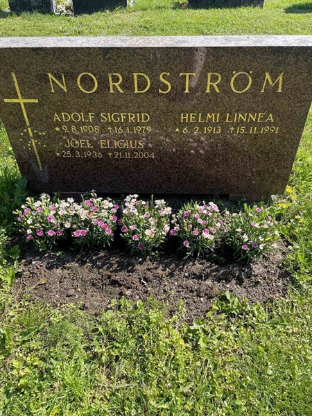 Hautatunnus: N 5 2   192