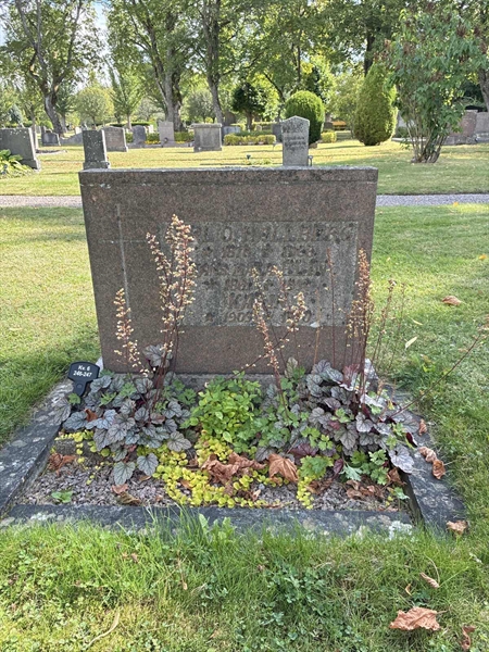 Grave number: 33 6   246-247