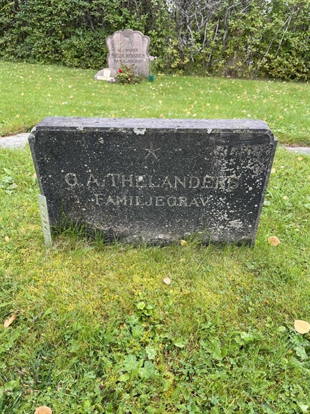 Grave number: MV III    10