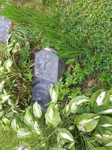 Hautatunnus: GK A 4    71H