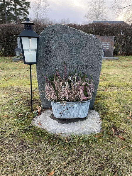 Hautatunnus: Vårv Kv5    90
