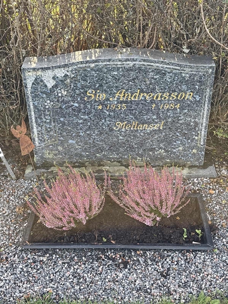 Grave number: 4 N ND    98