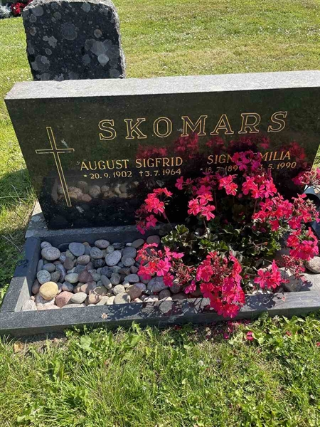 Hautatunnus: N 5 1   102