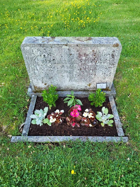 Grave number: kö 01 08   235