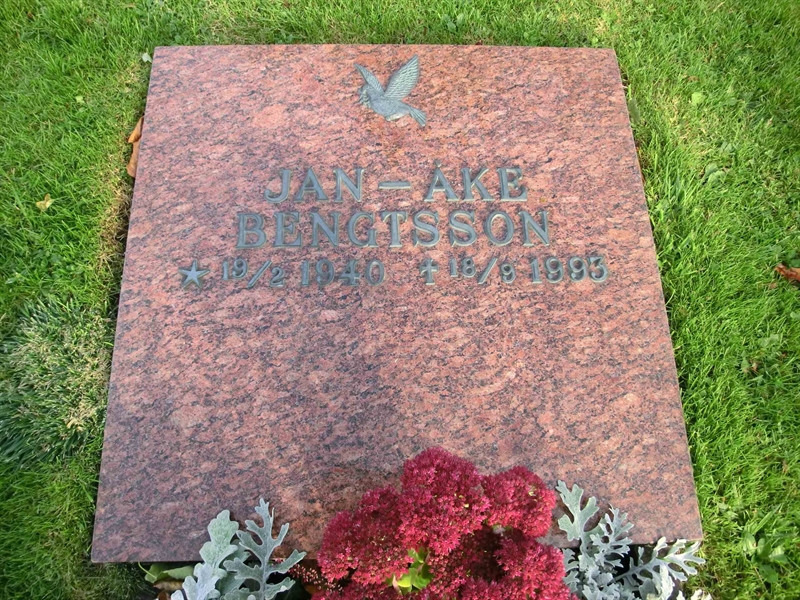 Grave number: ÖT URN    411