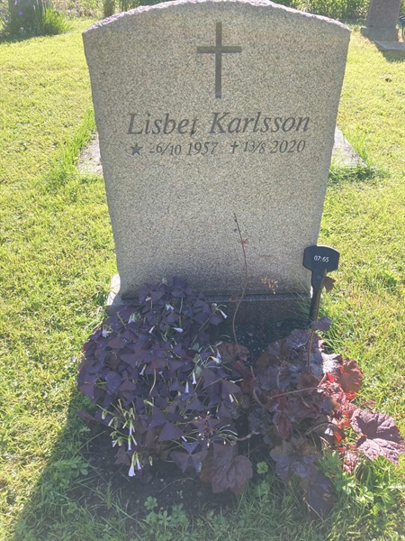 Grave number: 1 07    65