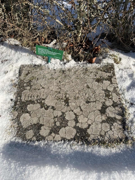 Gravnummer: SJ G    79