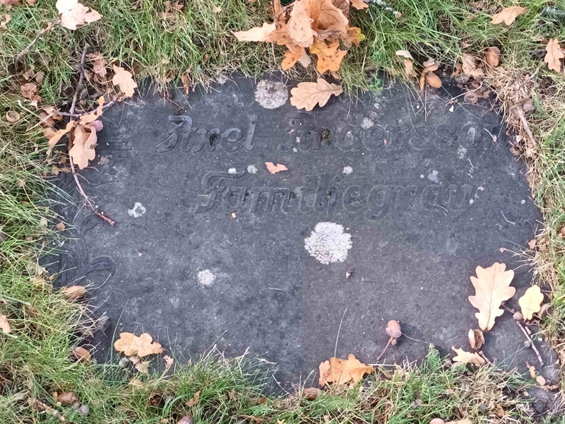 Grave number: NO 20   279