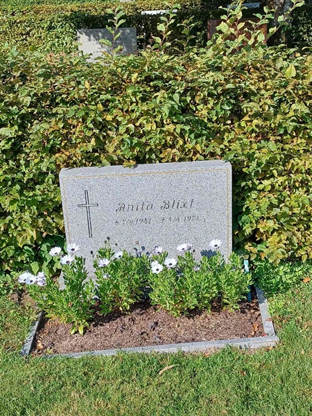 Grave number: OS N   196