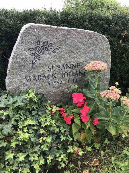 Hautatunnus: Kaga ny   203a