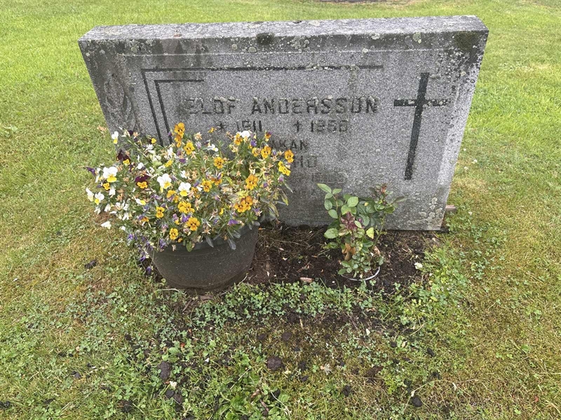 Grave number: 002 1   100