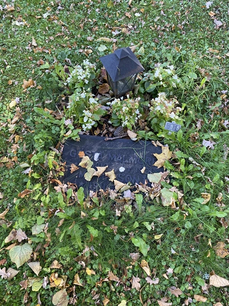 Hautatunnus: 1 H   505