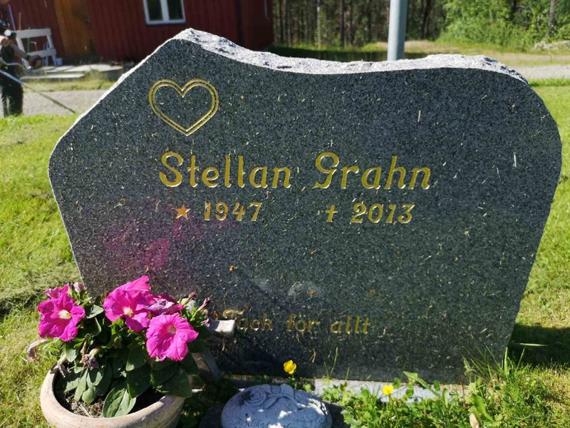 Hautatunnus: PK   458