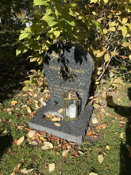 Grave number: 30ST TALL    79