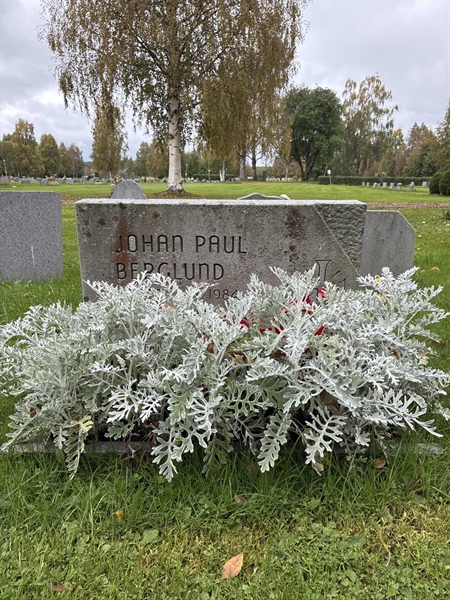 Grave number: 3  1136