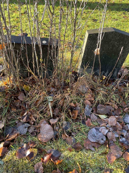 Gravnummer: GK A 3   434