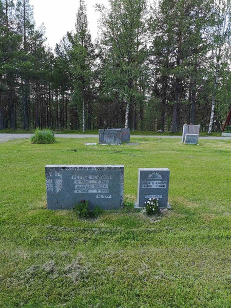 Hautatunnus: PK   161