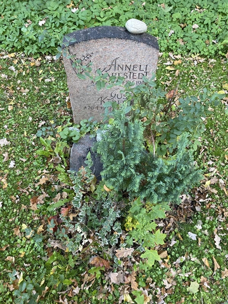 Gravnummer: 1 H   497