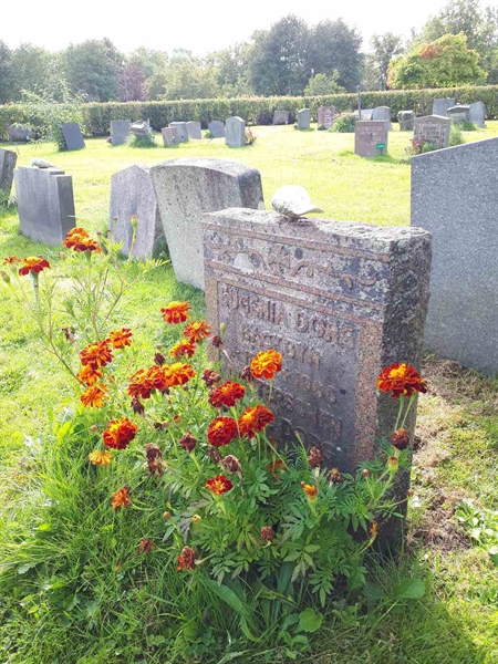 Hautatunnus: NK F B   796