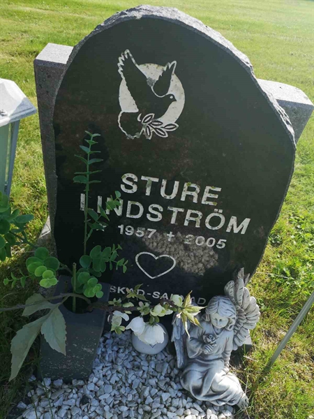 Gravnummer: POK 01    36,37