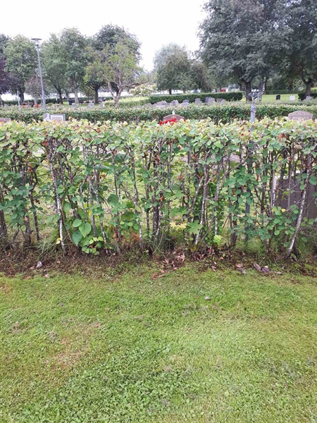 Gravnummer: NK F A   186