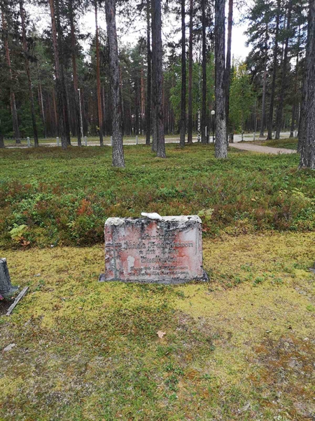 Hautatunnus: VLM 06    13:1