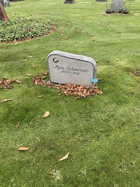 Hautatunnus: 1 3 M/Be    57