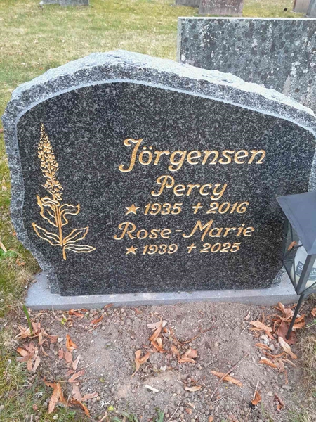 Grave number: 2 3 1115